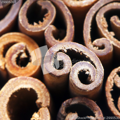 Image of Cinnamon sticks