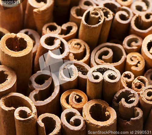 Image of Cinnamon sticks