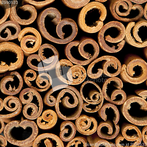 Image of Cinnamon sticks