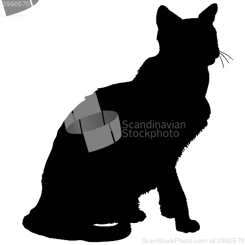 Image of cat silhouette 4