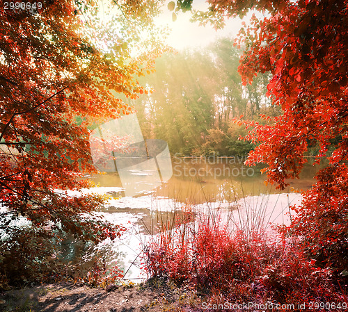 Image of Sunbeams over river