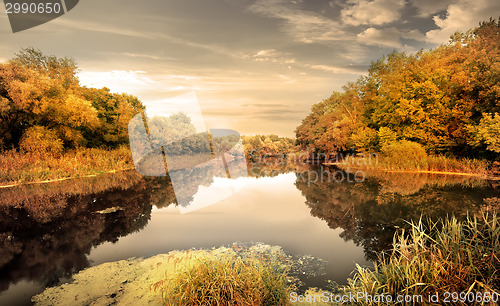 Image of River in the autumn