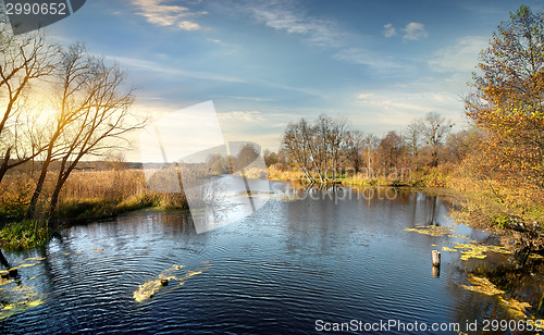 Image of Ripple on the autumn river