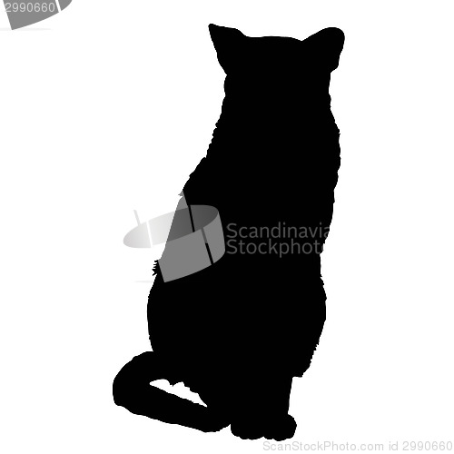 Image of cat silhouette 3