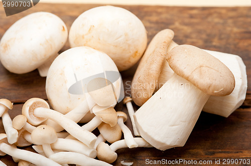 Image of fresh wild mushrooms