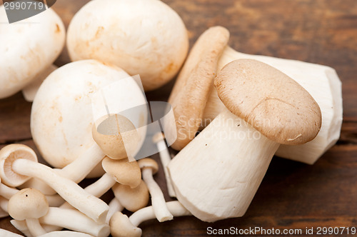 Image of fresh wild mushrooms