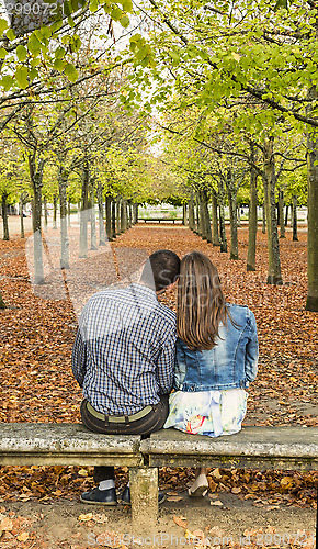 Image of Young Couple Sitting on a Bench in a Park in Autumn
