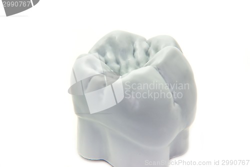 Image of Teeth - molar