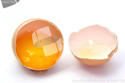 Image of Broken egg