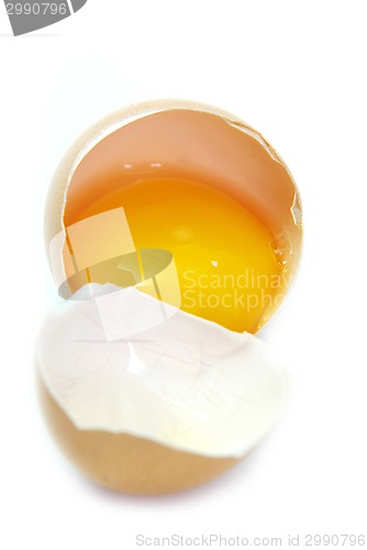 Image of Broken egg on white