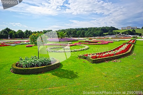 Image of Schonbrunn gardens