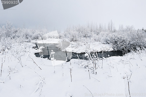 Image of Beautiful snowsacpe with a small stream