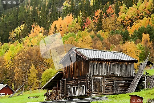 Image of fall in the mountains