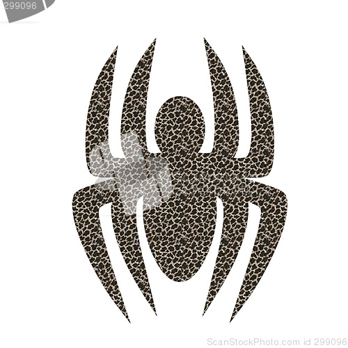 Image of Spider