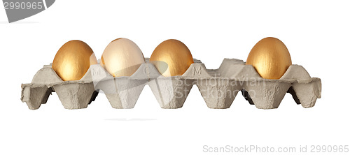 Image of One golden egg stolen