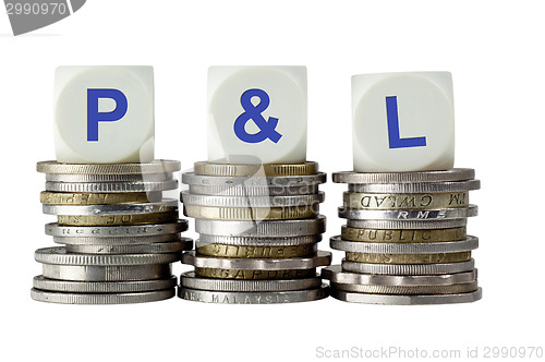 Image of P&L - Profit and Loss