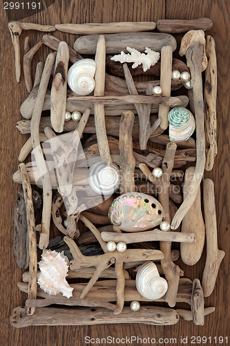 Image of Seashell and Driftwood Beauty