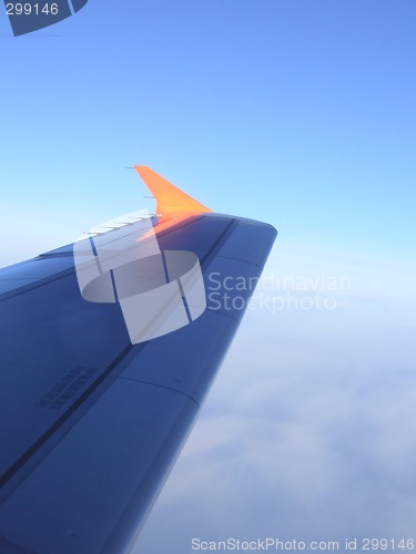 Image of wing tip