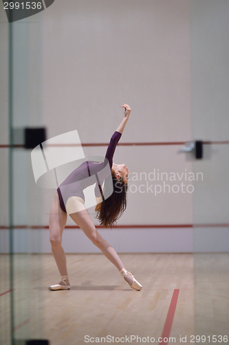 Image of ballet dancer