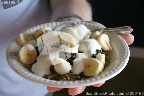 Image of healthy bowl of breakfast