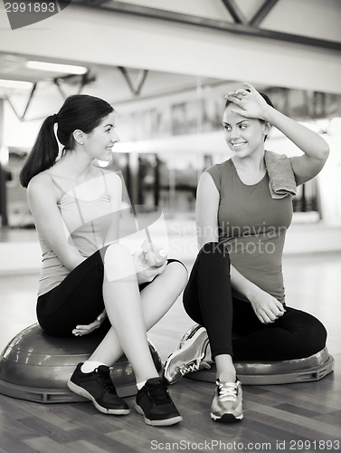 Image of two smiling women sitting on the half balls