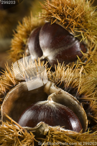 Image of chestnuts