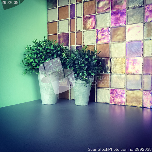 Image of Green plants decorating a kitchen