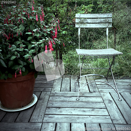 Image of Red fuchsia and old wooden chair