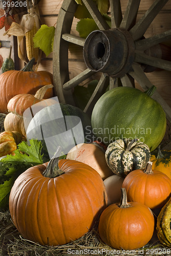 Image of harvest