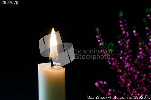 Image of Burning candle in front of heather flower