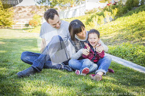 Image of Mixed Race Family Having Fun Outside