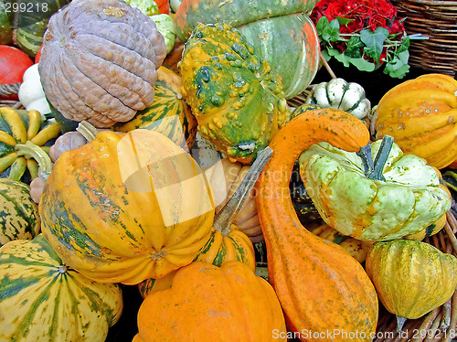 Image of Pumpkins