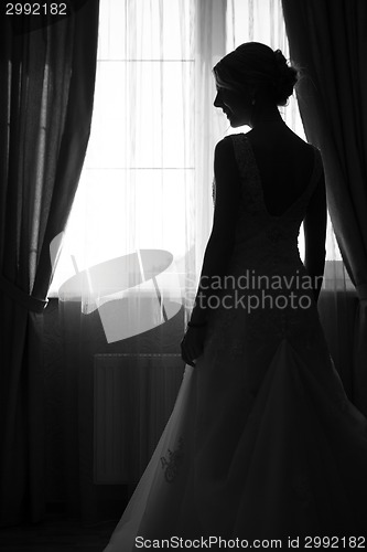 Image of Portrait of beautiful bride.