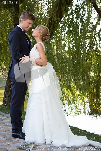 Image of Beautiful wedding couple