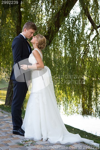 Image of Beautiful wedding couple
