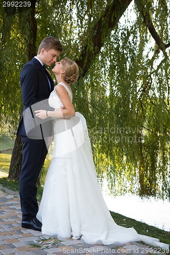 Image of Beautiful wedding couple