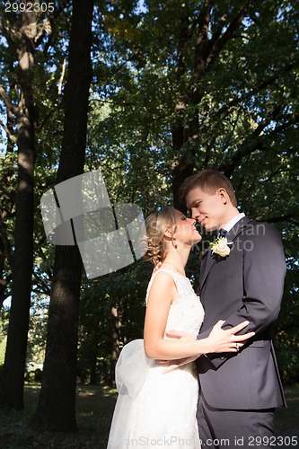 Image of Beautiful wedding couple