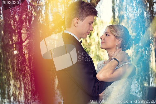 Image of Beautiful wedding couple