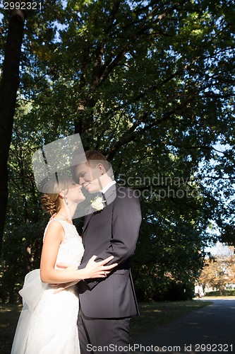 Image of Beautiful wedding couple