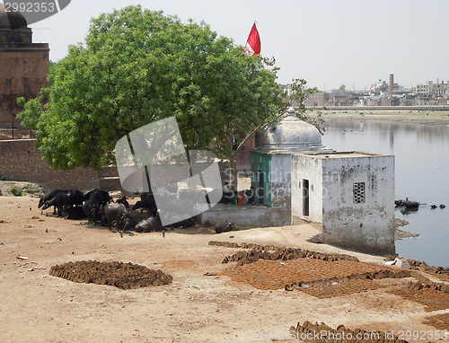 Image of Agra in India