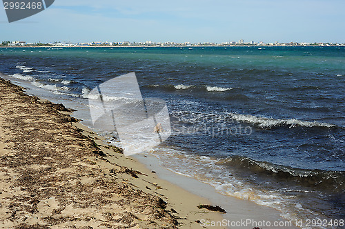 Image of Coast of the Black Sea. Evpatoria. Crimea.