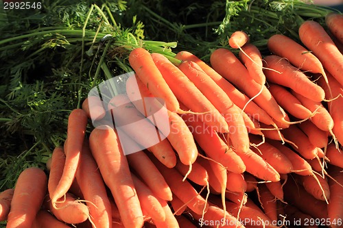 Image of orange carrot vegetable background