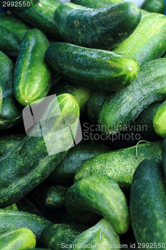 Image of green cucumbers background