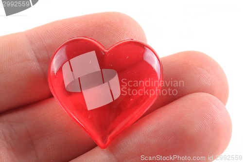Image of heart in the human fingers