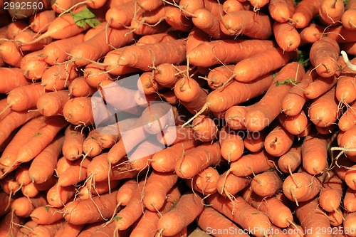 Image of red carrot background