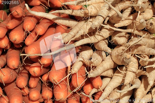 Image of parsley and carrot as fresh farm vegetable 