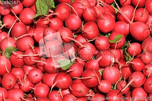 Image of red radishes vegetable background