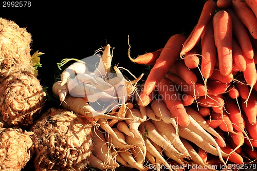 Image of celery root,parsley, carrot