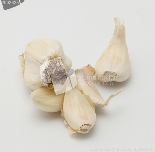 Image of garlic