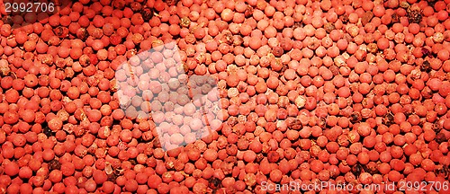 Image of red pepper background